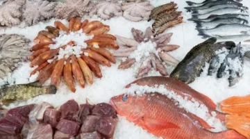 سعر السمك اليوم ارتفاع البلطي إلى 58 جنيها وتصاعد أسعار الجمبري والمكرونة يؤثر على تكلفة المائدة المصرية 1